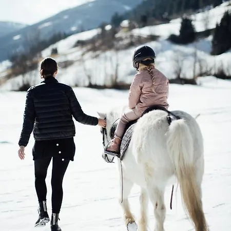 Hotel Familien Moar Gut Großarl
