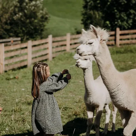 Hotel Familien Moar Gut Grossarl