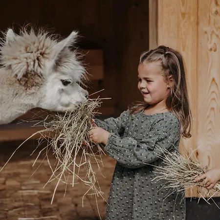 Familien Moar Gut 5*